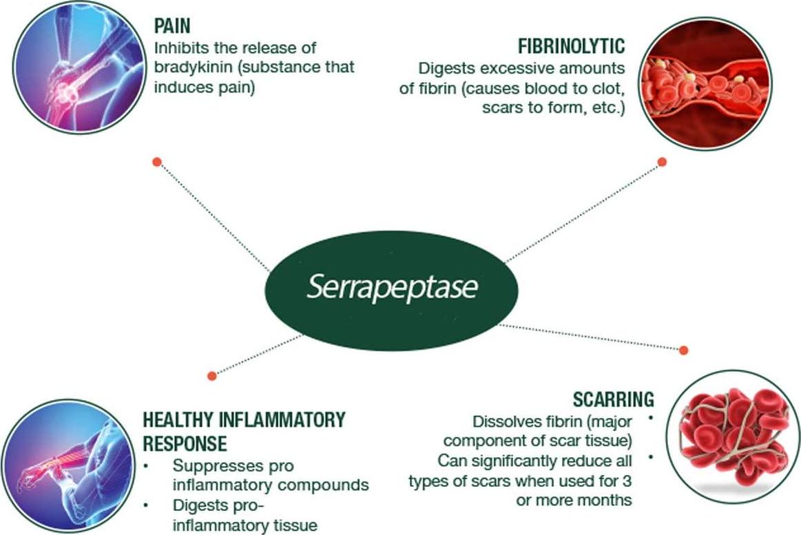 Serrapeptase Enzyme, High Potency 120000 Units (SPU), Enteric Coated. 200 Vegetarian Capsules. 200-day Supply