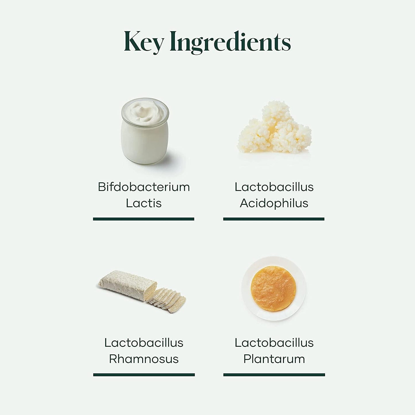 Shaklee Optiflora DI probiotic for Digestive and Immune Health 30 Capsules