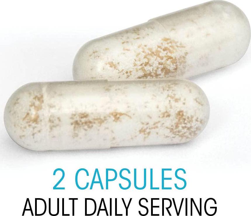 Silver Fern Ultimate Probiotic Supplement Vegicaps - Daily Metabolic Restoration Weight Loss 100% Survivability DNA Verified Multi-Strain Probiotic Capsules (2 Bottles - 120 Capsules)