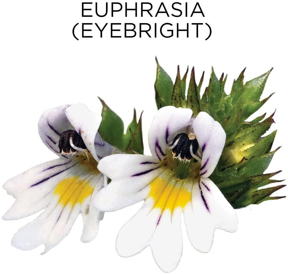 Similasan Kids Allergy Eye Relief Drops 0.33 Ounce, for Temporary Relief from Red Eyes, Itchy Eyes, Burning Eyes, and Watery Eyes Due to Allergies, Formulated with Natural Active Ingredients