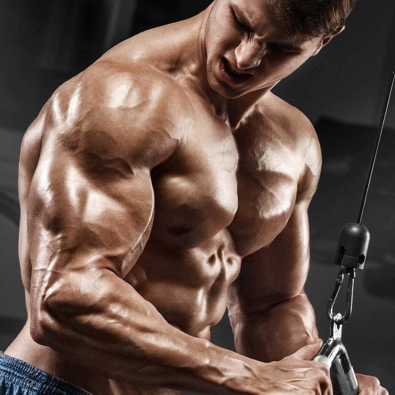 Siren Labs D1-T Strength Monster Muscle Mass-Building Testosterone Booster with D-Aspartic Acid – for a Boost and Increase in Total Testosterone Levels, Suppression of Estrogen (120 Capsules)