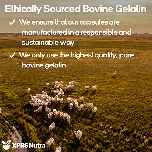 Size 000 Clear Empty Gelatin Capsules, 250 Count, Halal and Kosher Certified by Capsules Express