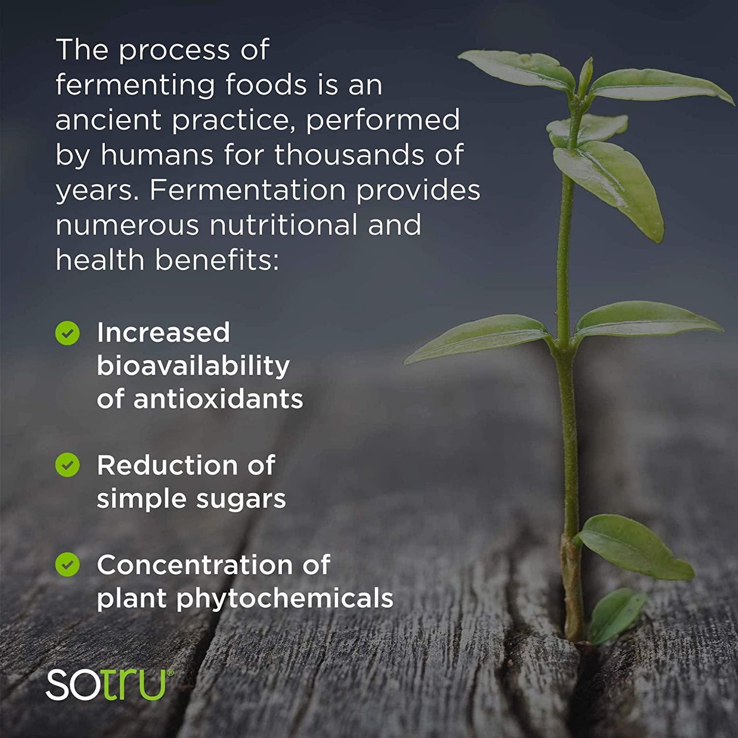 SoTru Alkalizing Greens - 8.47 oz. - Fermented Superfood Blend with Digestive Enzymes, Probiotics and Prebiotic Fiber - USDA Certified Organic, Non-GMO, Vegan, Gluten-Free - 30 Servings