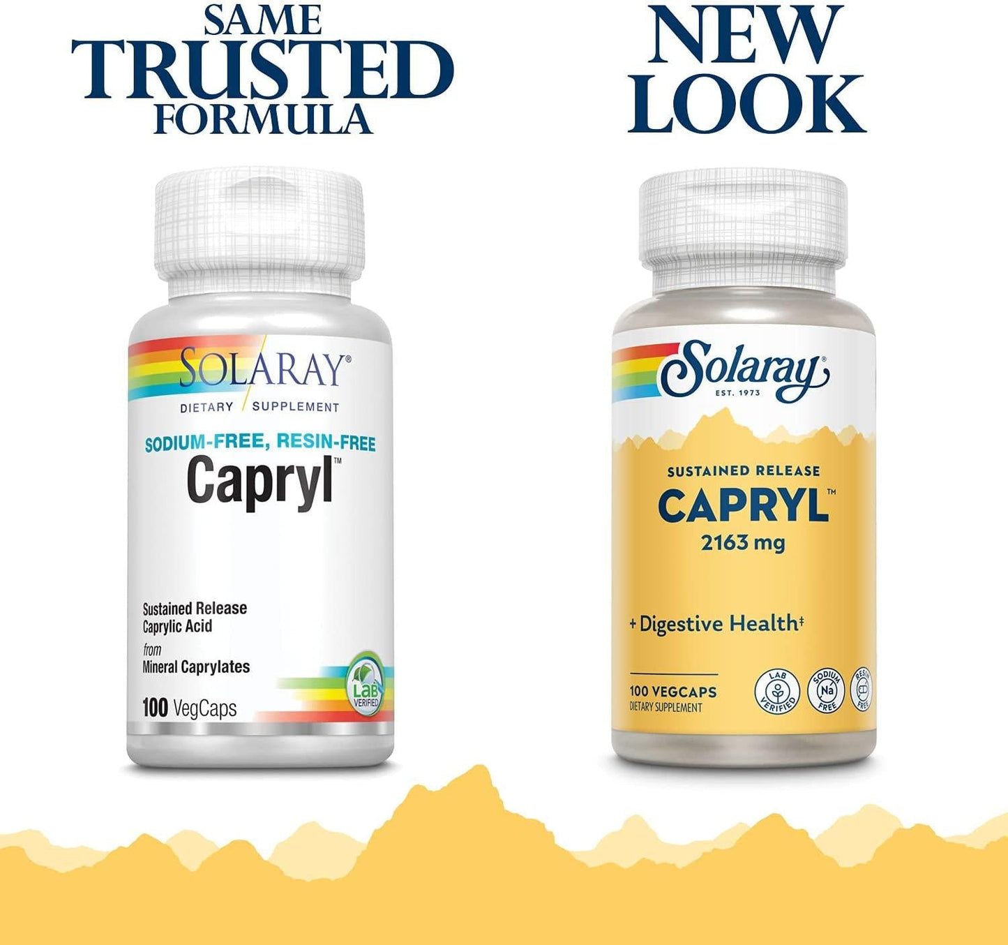 Solaray Capryl | Sustained Release Caprylic Acid | Healthy Gastrointestinal Tract Support | 16 Servings | 100 VegCaps