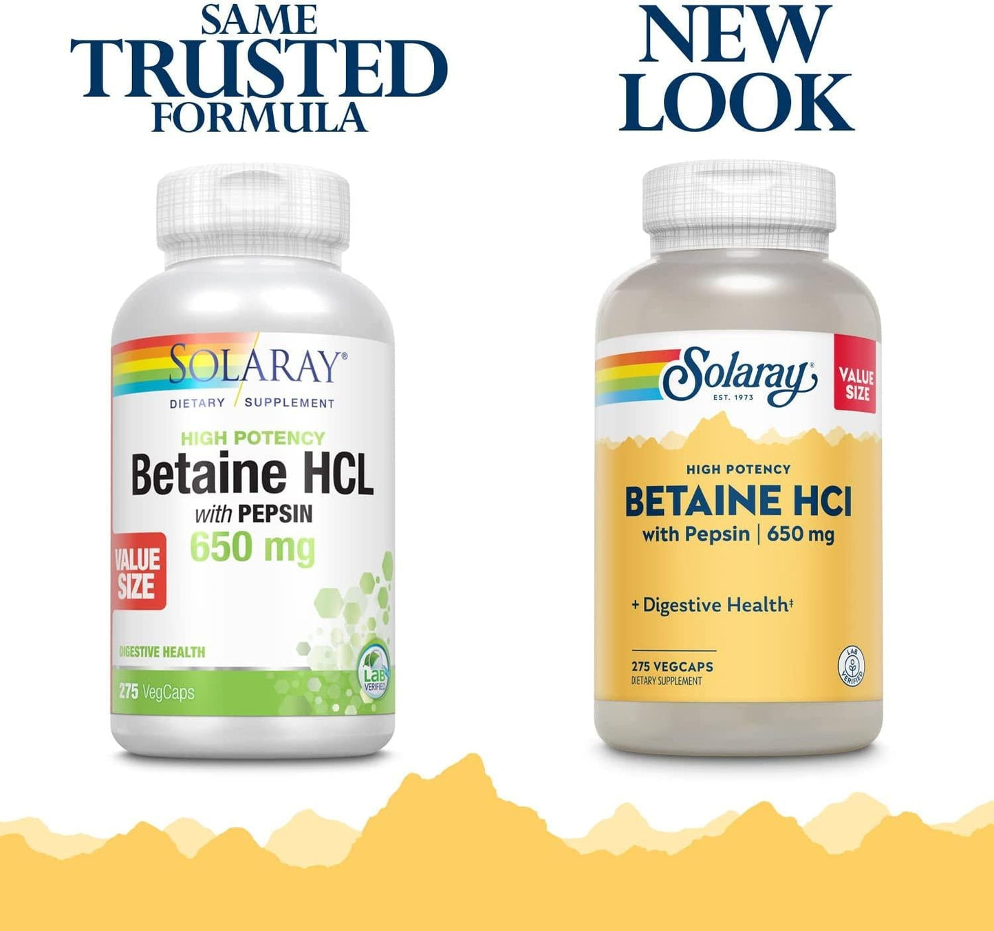 Solaray High Potency Betaine HCL with Pepsin 650 mg | Hydrochloric Acid Formula for Healthy Digestion Support | Lab Verified (275 CT)