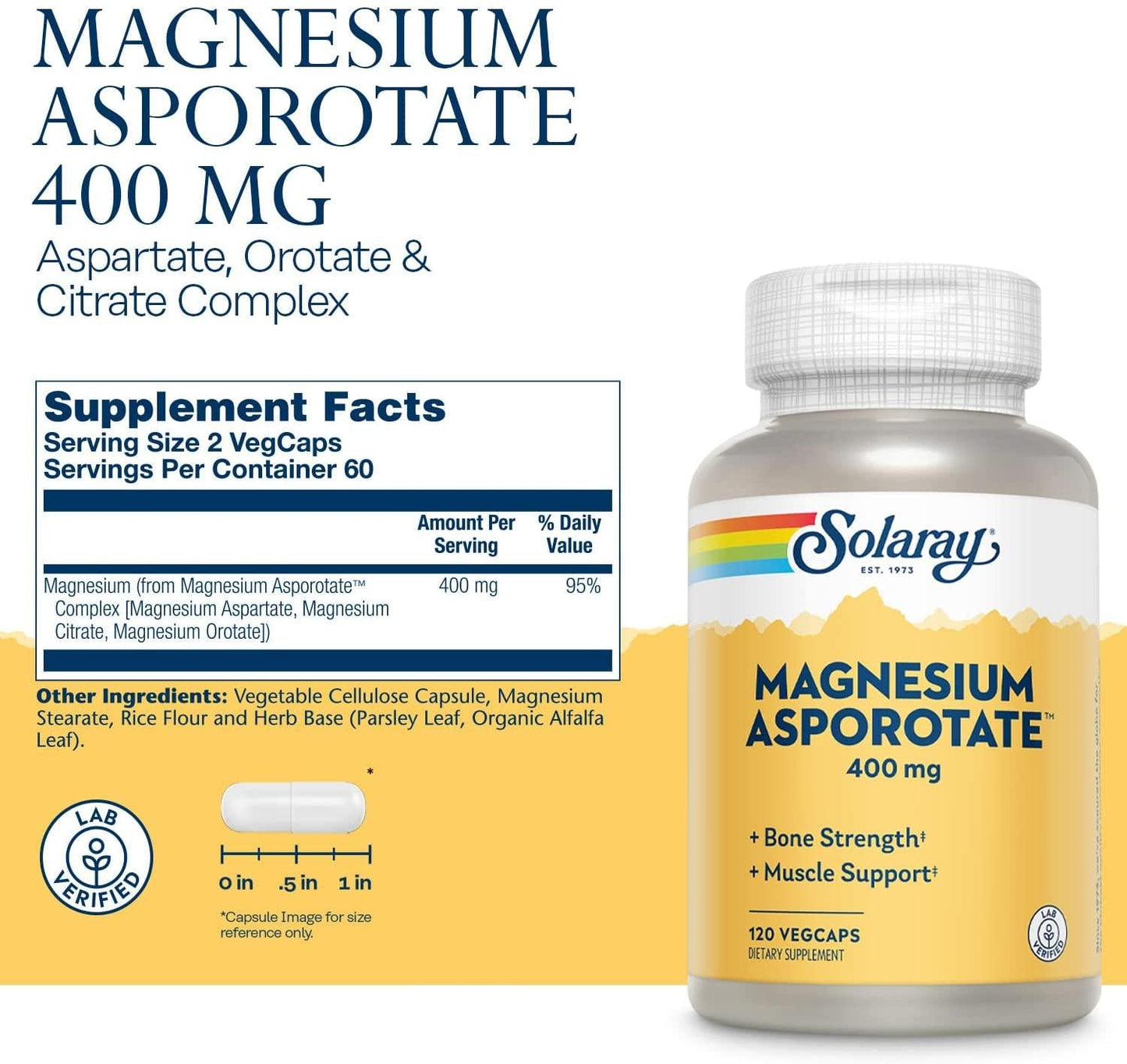 Solaray Magnesium Asporotate 400 mg, Chelated Magnesium Supplement for Bone Health, Cardiovascular, Muscle and Nerve Function Support, 60-Day Money Back Guarantee, 60 Servings, 120 VegCaps