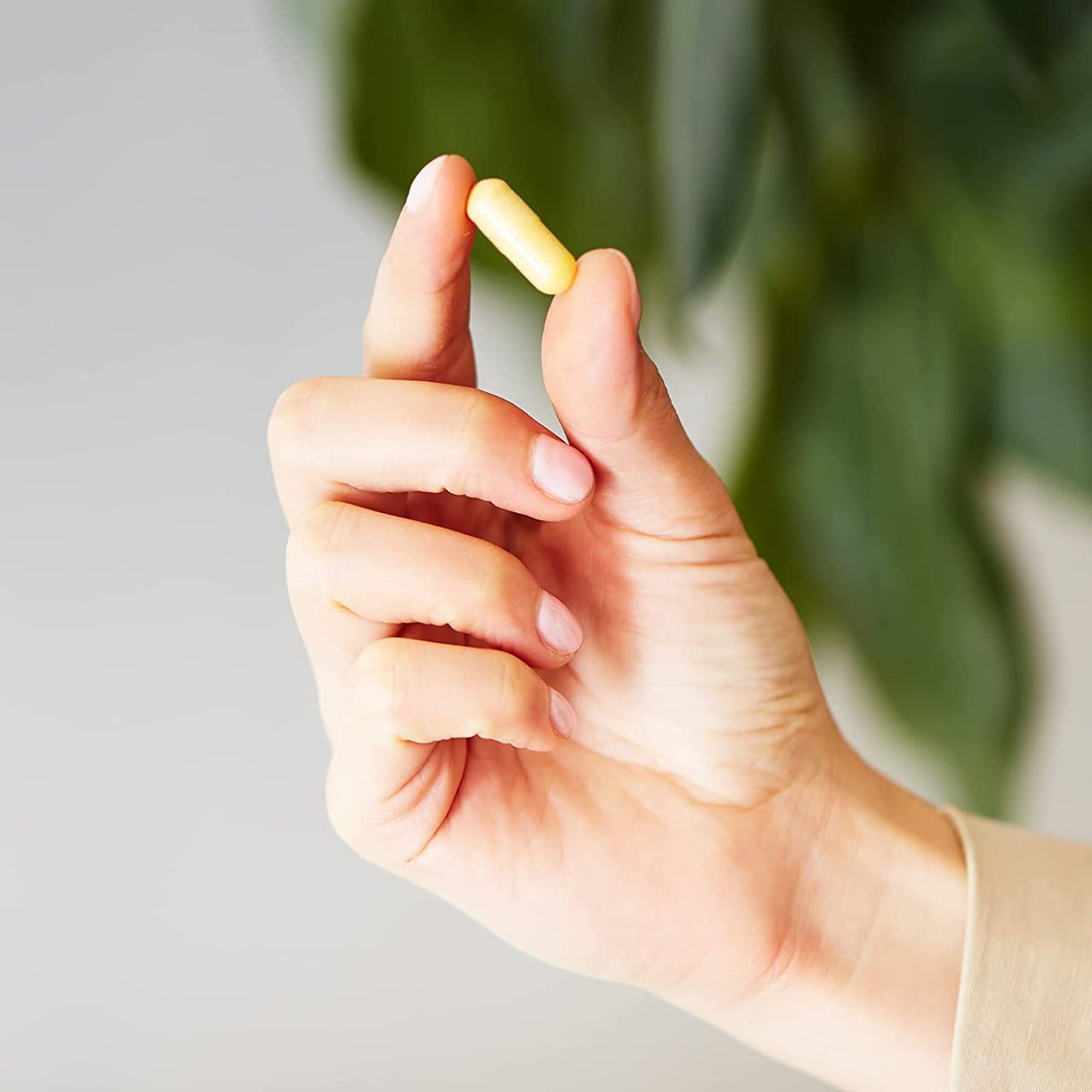 Solgar - B Complex 100 - 100 Vegetarian Capsules