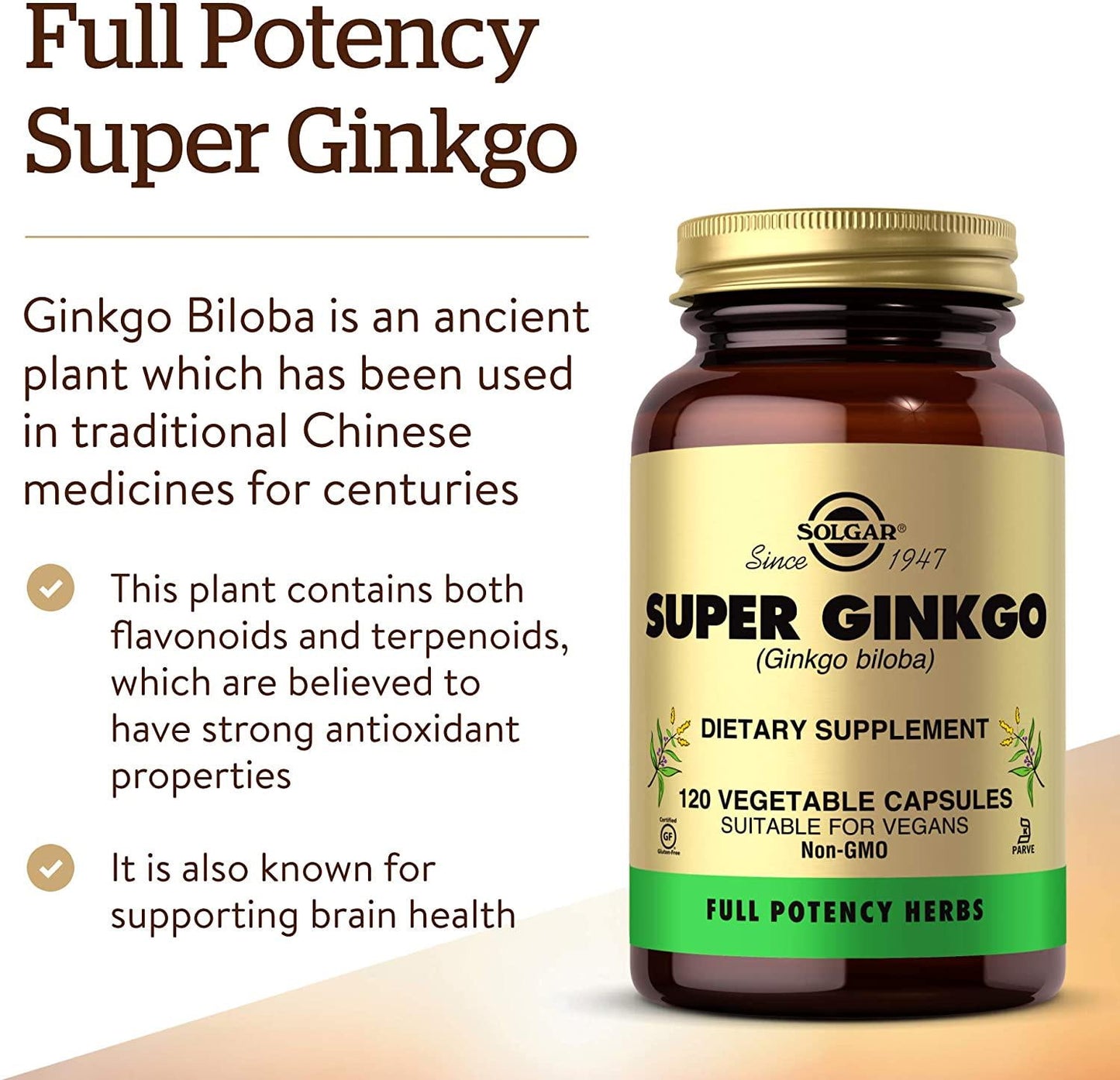 Solgar - FP Super Ginkgo Vegetable Capsules 120 Count