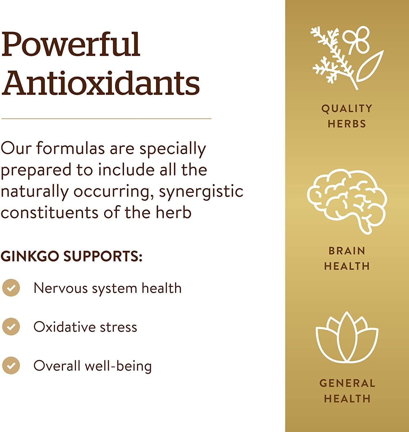 Solgar - FP Super Ginkgo Vegetable Capsules 120 Count