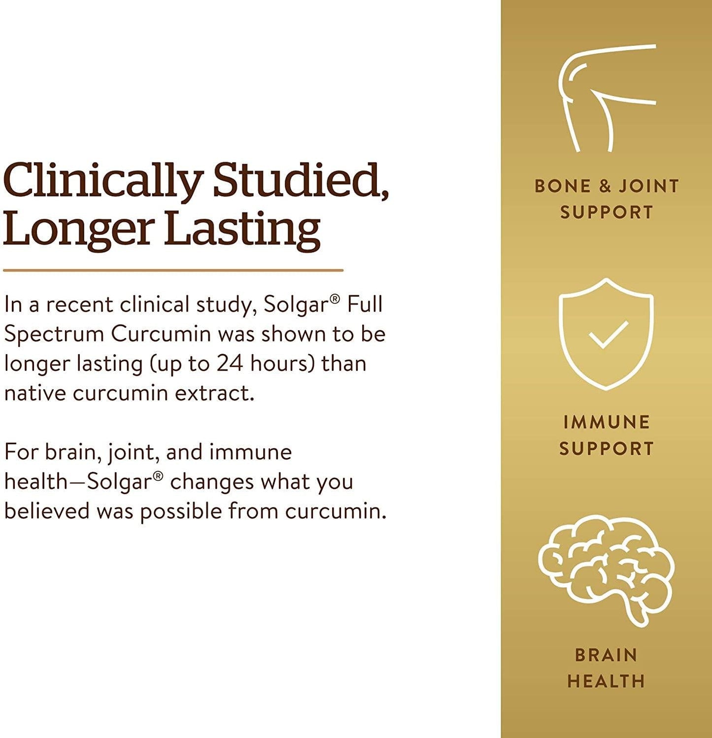 Solgar Full Spectrum Curcumin Liquid Extract, 105 Softgels - Faster Absorption - Brain, Joint and Immune Health - Long Lasting Support - Non GMO, Gluten Free, Dairy Free