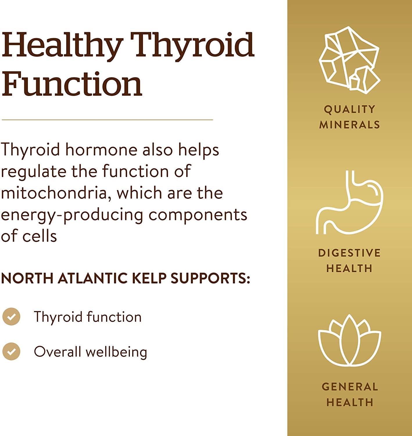 Solgar - North Atlantic Kelp Tablets 250 Count