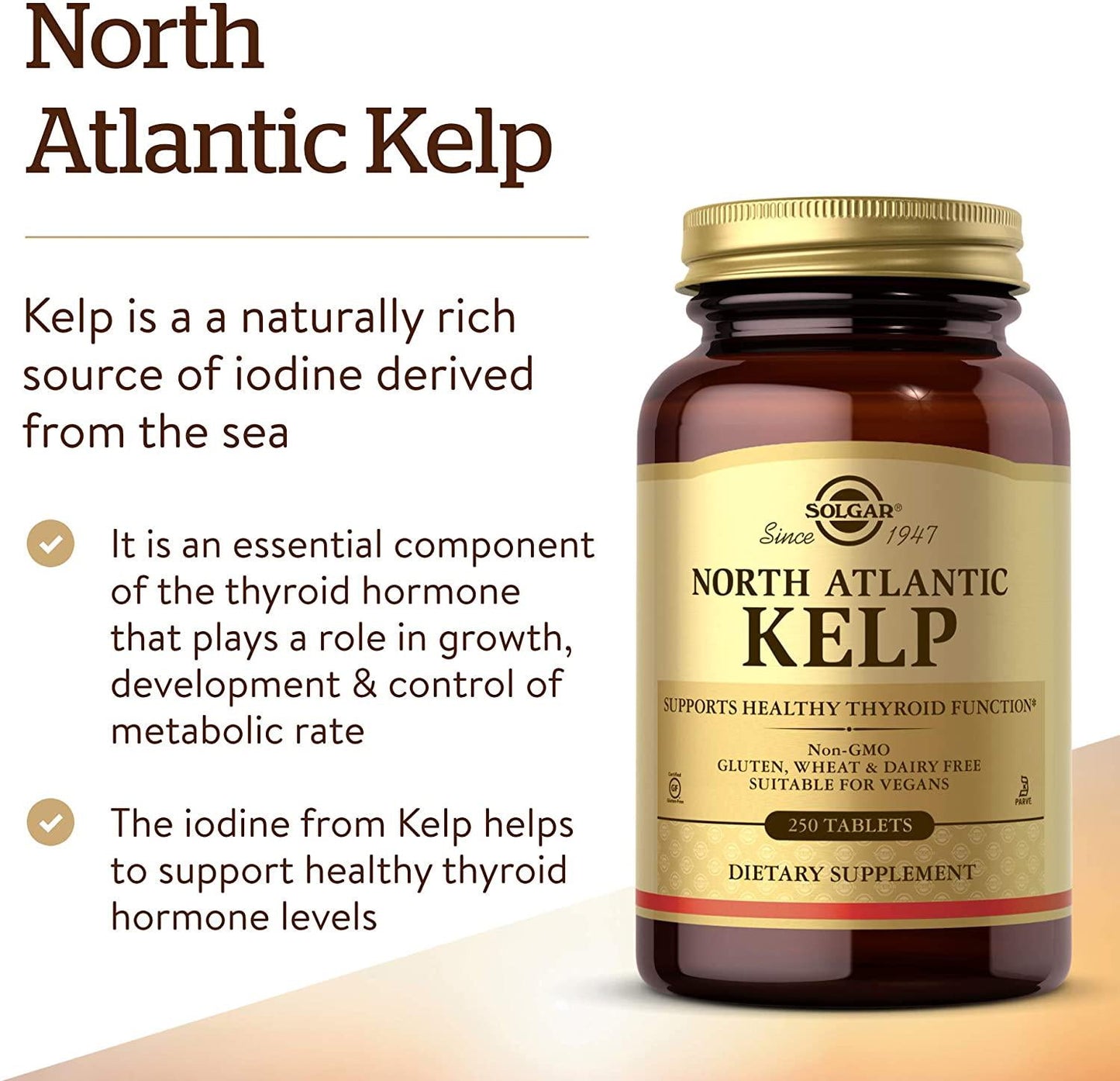Solgar - North Atlantic Kelp Tablets 250 Count