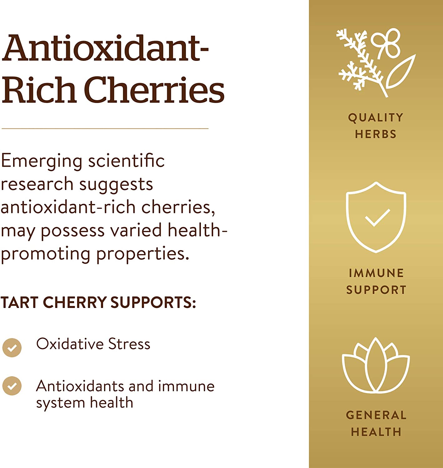 Solgar - Tart Cherry 1000 mg. - 90 Vegetarian Capsules