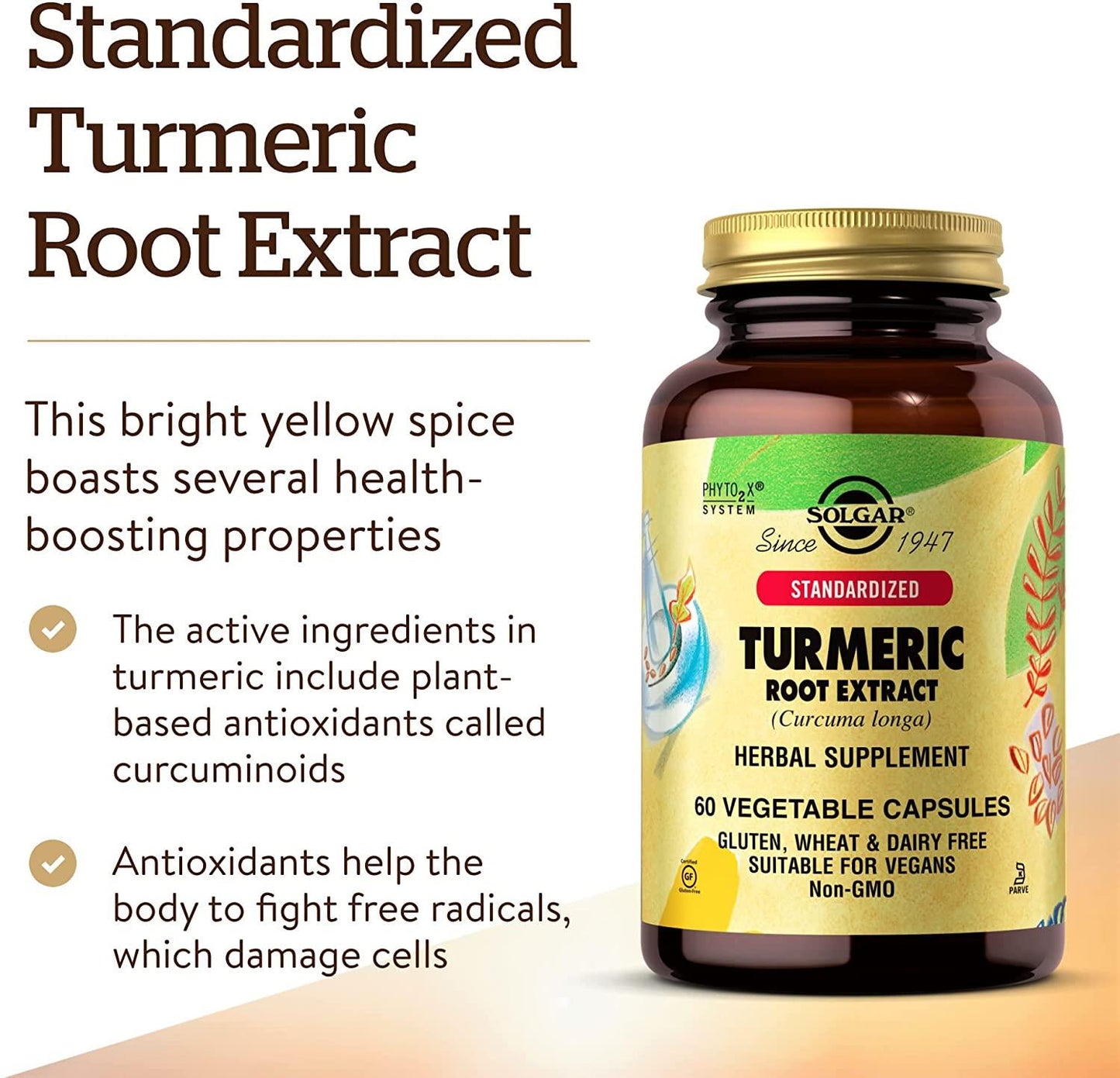 Solgar - Turmeric Root Extract Standardized - 60 Vegetarian Capsules