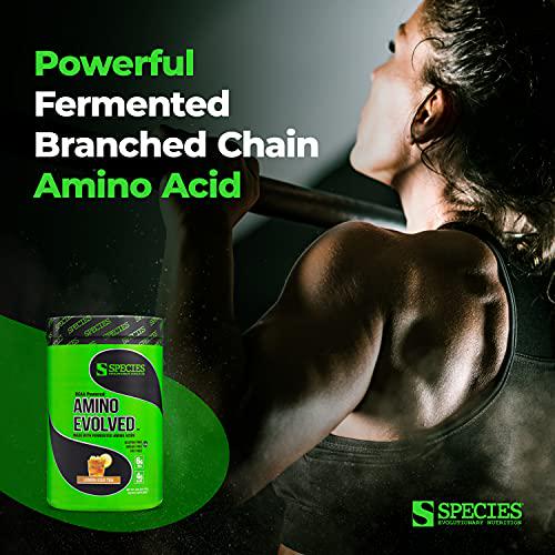 Species Nutrition Amino Evolved EAA and BCAA Powder, Fermented Amino Acids, Branched Chain Amino Acid Muscle Recovery and Endurance, Pre and Post Workout Supplement (Lemon Iced Tea, 30 Servings)