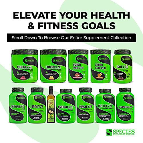 Species Nutrition Amino Evolved EAA and BCAA Powder, Fermented Amino Acids, Branched Chain Amino Acid Muscle Recovery and Endurance, Pre and Post Workout Supplement (Lemon Iced Tea, 30 Servings)