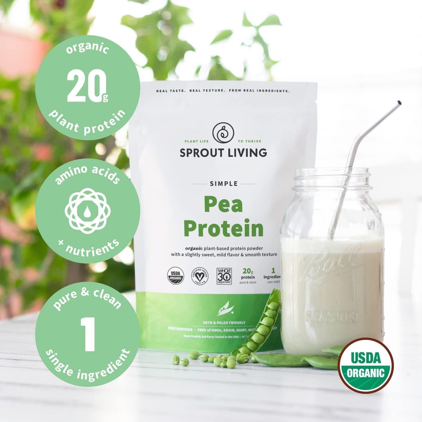 Sprout Living Organic Pea Protein Powder, 20 Grams of Plant Based Organic Protein Powder Without Artificial Sweeteners, Non Dairy, Non-GMO, Dairy Free, Vegan, Gluten Free, Keto Drink Mix (1 Pound)