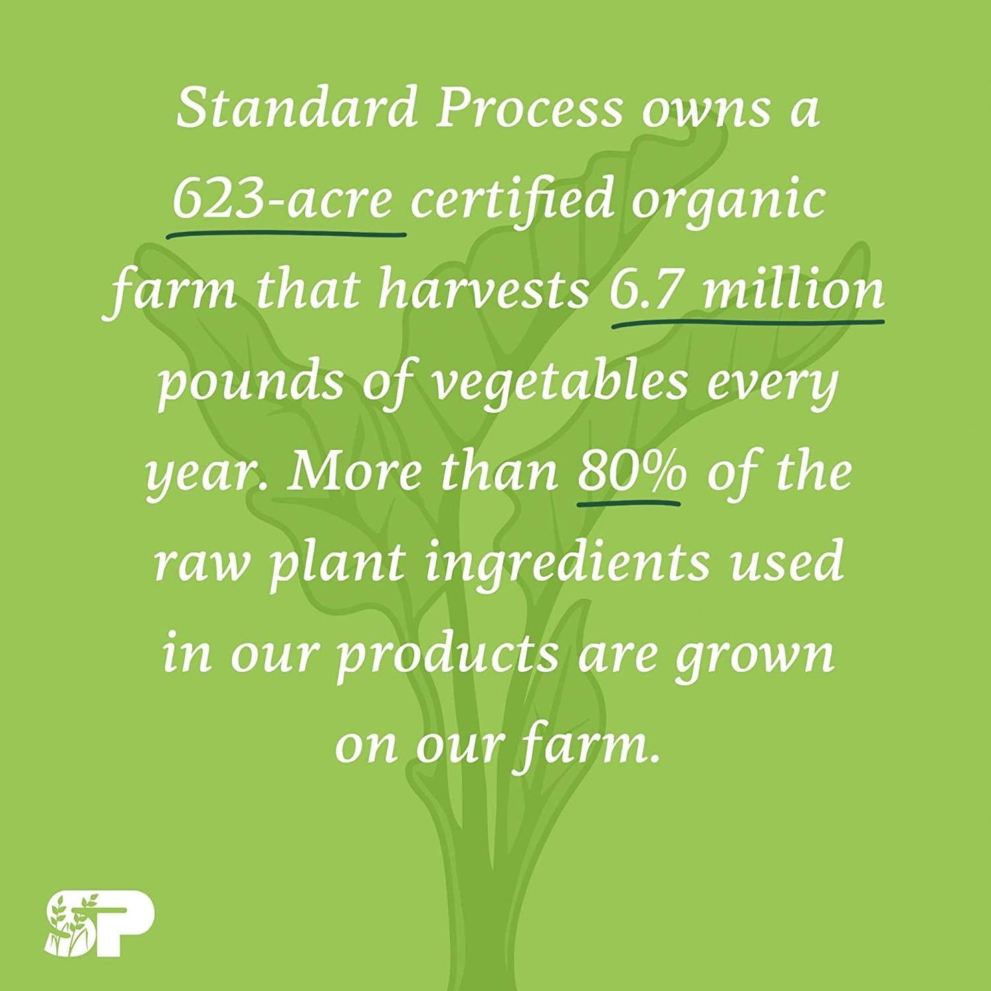 Standard Process - Cyruta Plus - 90 Tablets