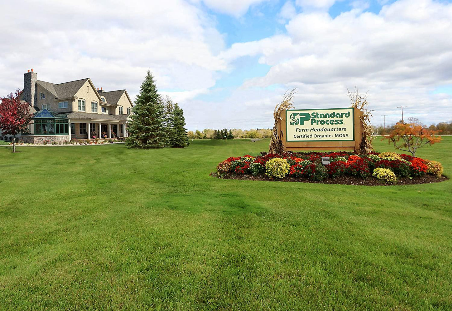 Standard Process StandardBar - Gluten-Free Protein Bar with Whole Food Formula of Calcium, Potassium, and More - Vegetarian - 18 Bar Pack - Peanut Butter