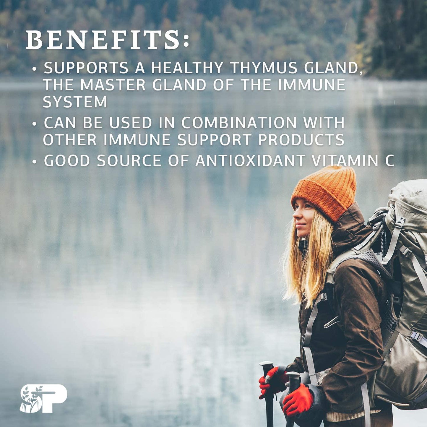 Standard Process Thymex - Whole Food Cholesterol, Thymus Supplement and Immune Support Supplement with Vitamin C, Magnesium Citrate, and Calcium Lactate - Gluten Free - 90 Tablets