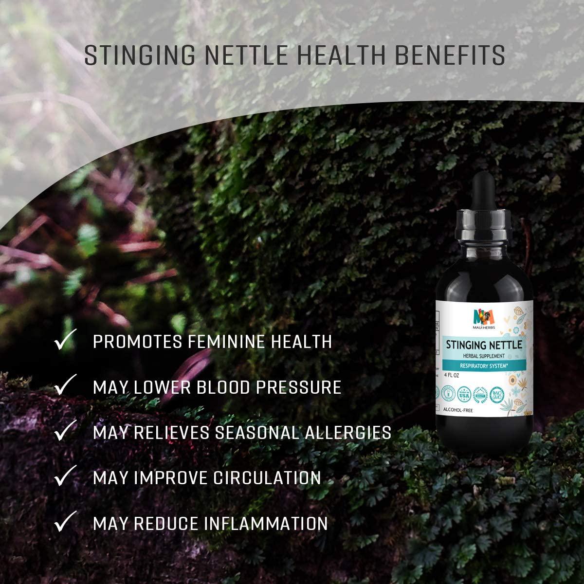 Stinging Nettle Tincture 4 FL OZ Alcohol-Free Liquid Extract, Organic Stinging Nettle Leaf and Root (Urtica Dioica)