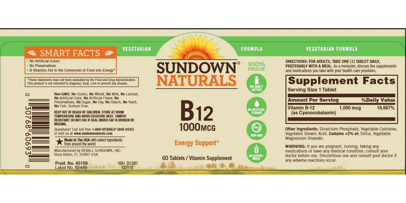 Sundown Naturals Vitamin B-12 High Potency 1000 mcg, 60 Tablets (Pack of 3)