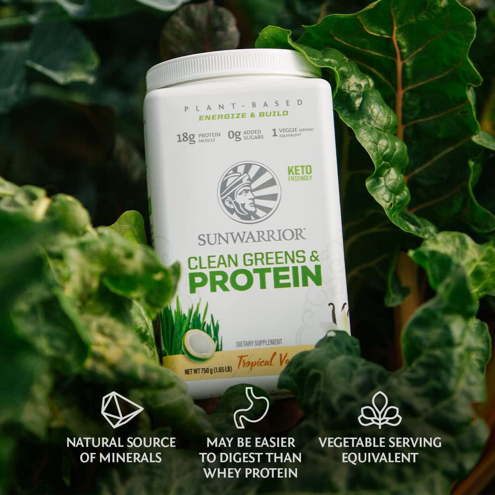 Sunwarrior Clean Greens and Protein Organic Greens Powder Superfood No Added Sugar Non GMO Soy Free Gluten Free Dairy Free Keto Friendly Green Superfood Powder (Tropical Vanilla) (175 Gram)