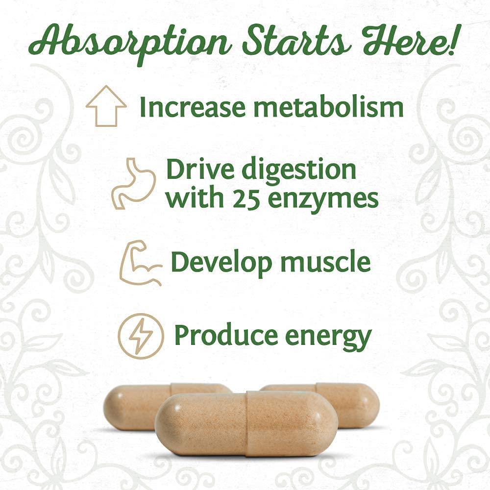 Sunwarrior Enzorb Vegan Digestive Enzymes