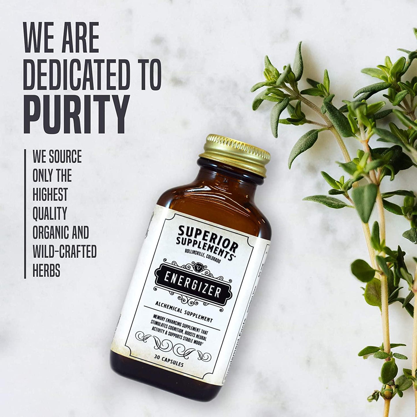 Superior Supplements Energizer Nootropic Energy and Focus Pills - 30 Super Vitamin Capsules - Enhanced Brain Stimulant, Neuro Booster, Increase Focus and Clarity