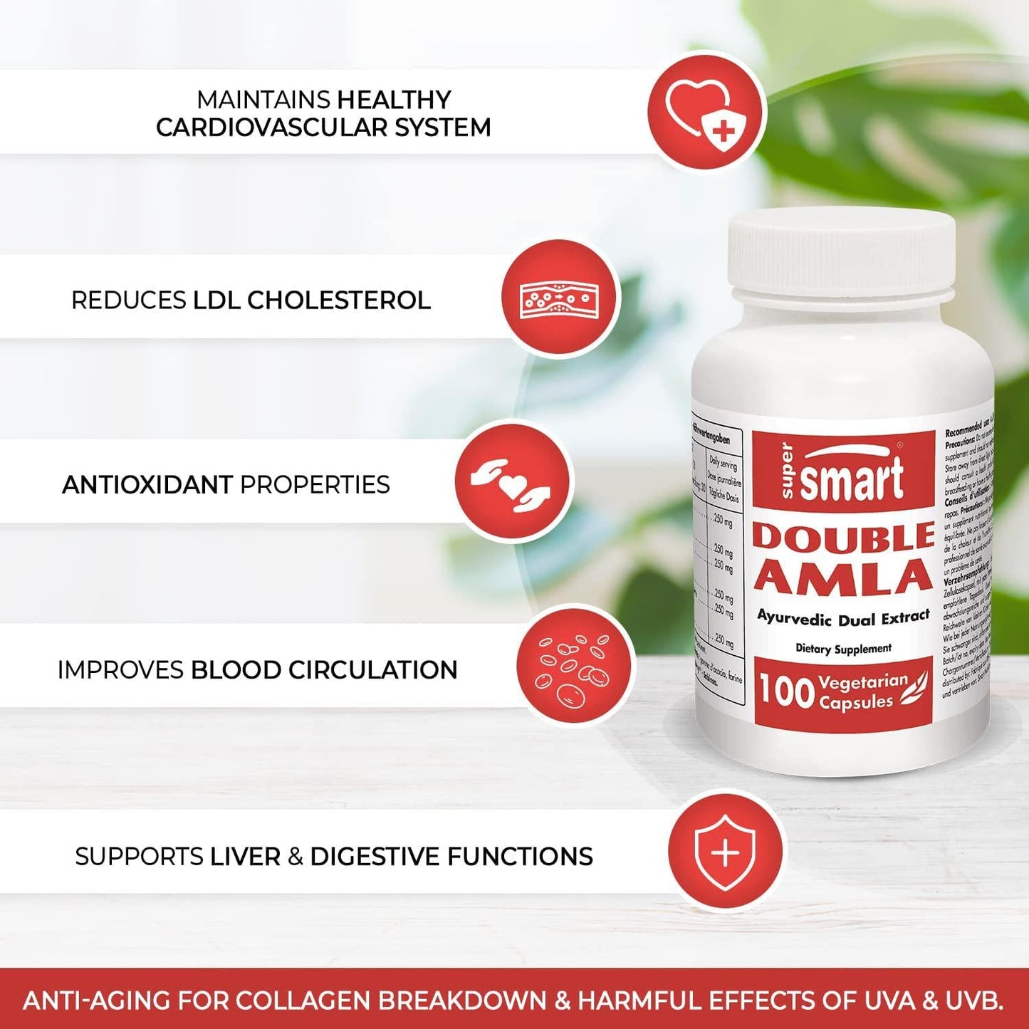 Supersmart - Ayurveda - Double Amla - Extracts Standardised in Tannins, Beta-Glucogallin and Gallic Acid - Anti-Oxidant and Immune Support | Non-GMO - 100 Vegetarian Capsules.