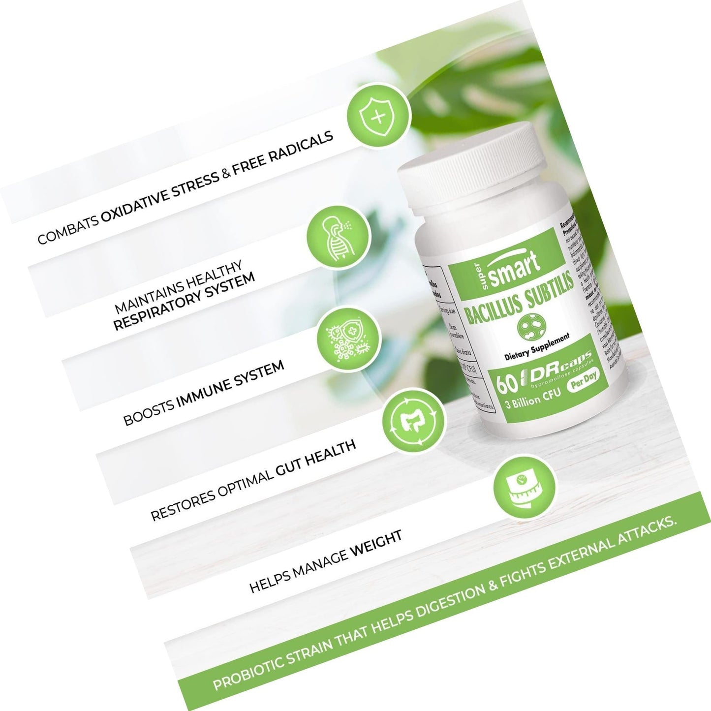 Supersmart - Bacillus Subtilis 3 Billion CFU - Probiotic Strain - Improve Natural Defences and Help with External Infection | Non-GMO and Gluten Free - 60 DR Capsules