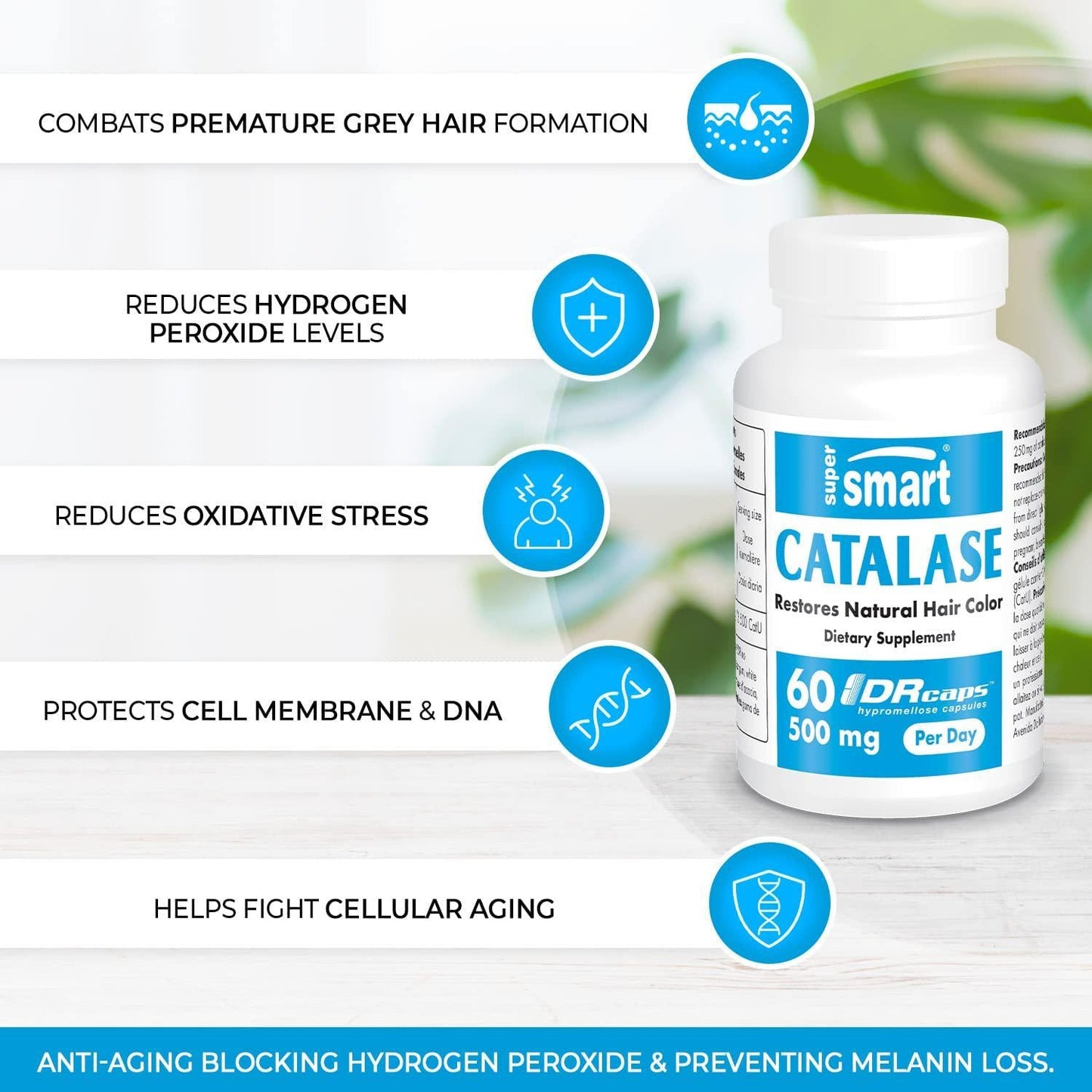 Supersmart - Catalase 500 mg Per Day - Natural Enzyme - Anti Aging - Increase Longevity - Restore Hair Color and Protect DNA | Non-GMO and Gluten Free - 60 DR Capsules