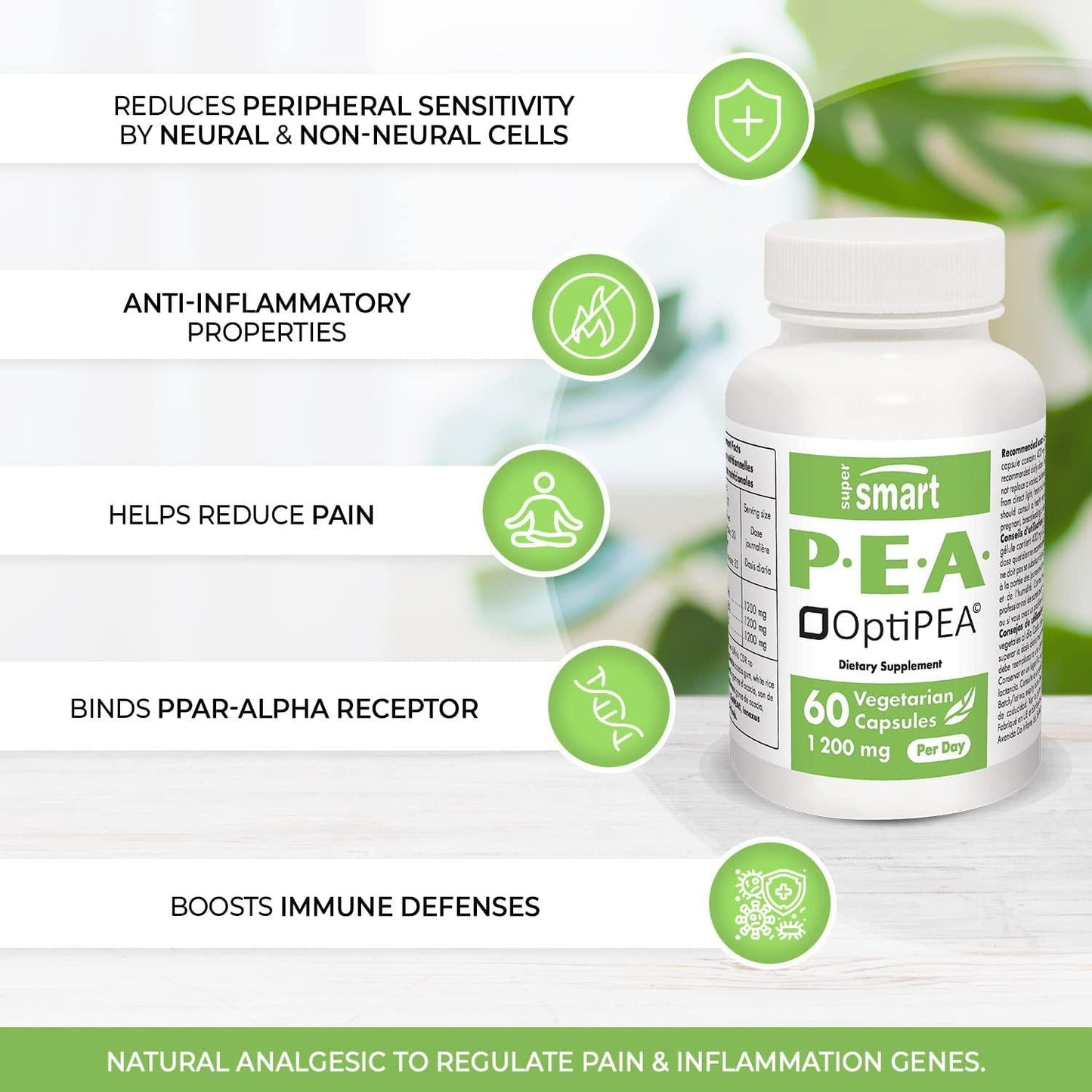 Supersmart - Pea (PalmitoylEthanolAmide) 1200 mg Per Day - Natural Analgesic and Anti Inflammatory Supplement - Pain Relief | Non-GMO and Gluten Free - 60 Vegetarian Capsules