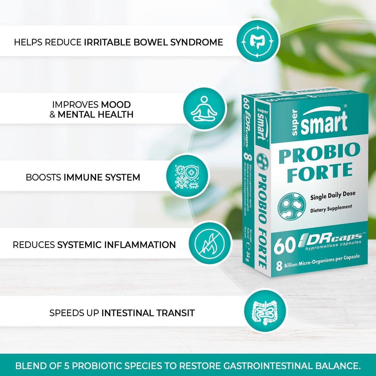 Supersmart - Probio Forte - 8 Billion Micro-Organisms per Capsule - Probiotics for Women and Men - Immune System Booster - with Lactobacillus Acidophilus | Non-GMO and Gluten-Free - 60 DR Caps
