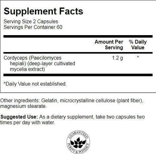 Swanson Cordyceps 600 Milligrams 120 Capsules
