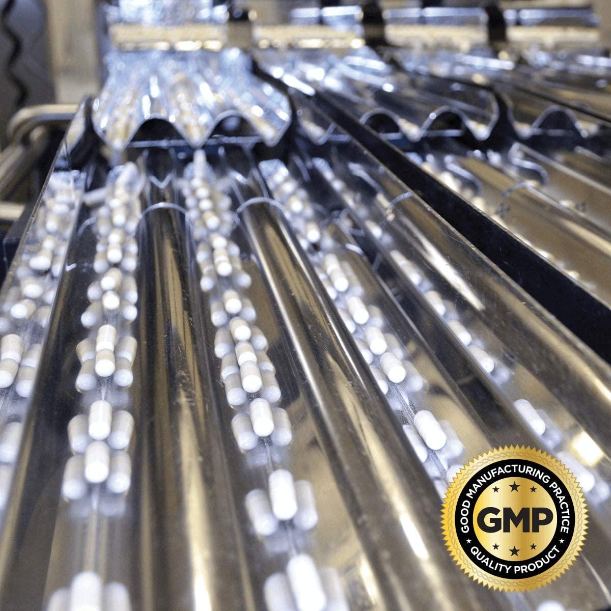 Swanson Senior Muscle Retention Protein Powder Vanilla 1.06 lb (480 g) Pwdr