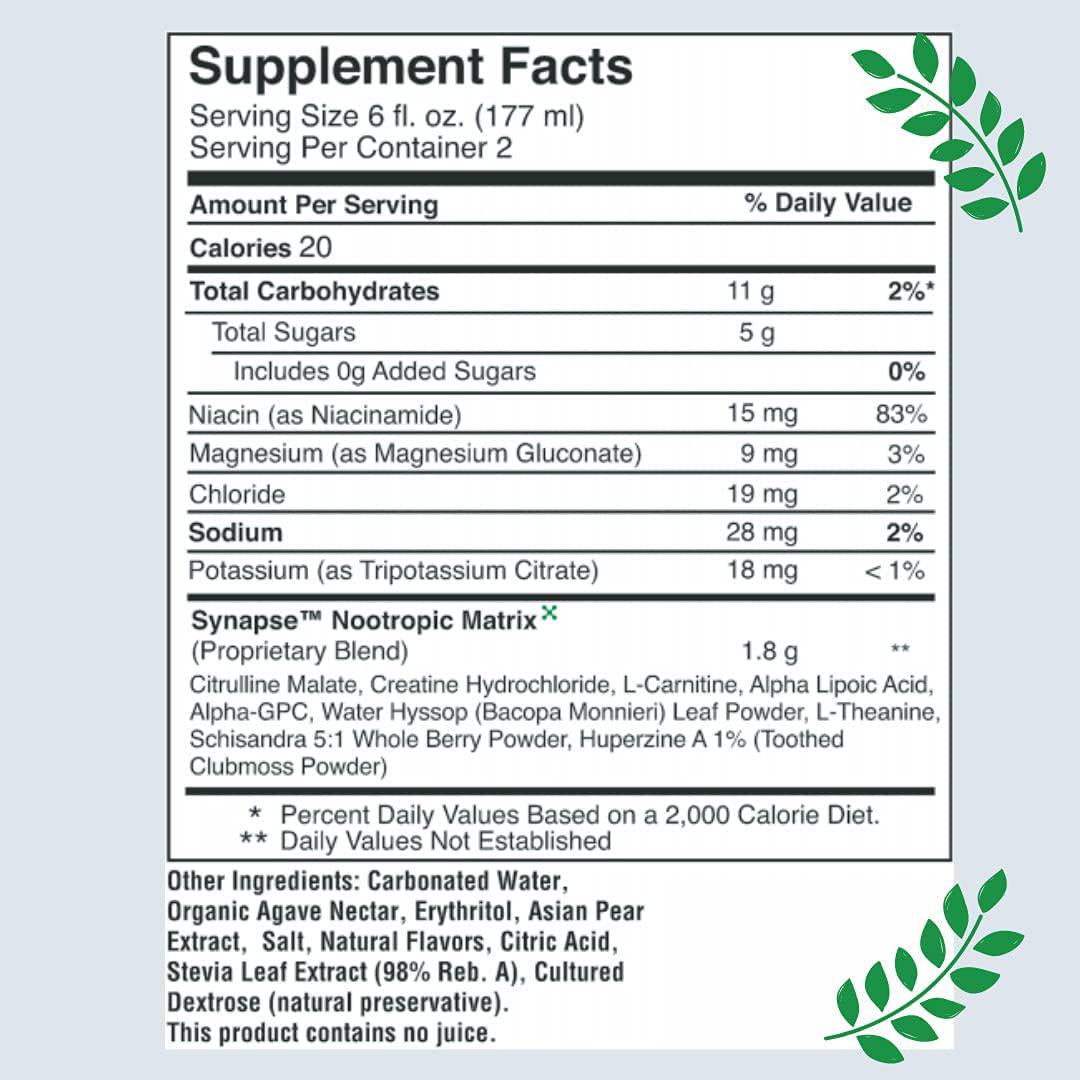 Synapse Natural Nootropic Energy Drink - Caffeine Free, Low Calorie, Plant Based - Focus, Memory, Mental Performance - 12 fl oz (12 Pack)