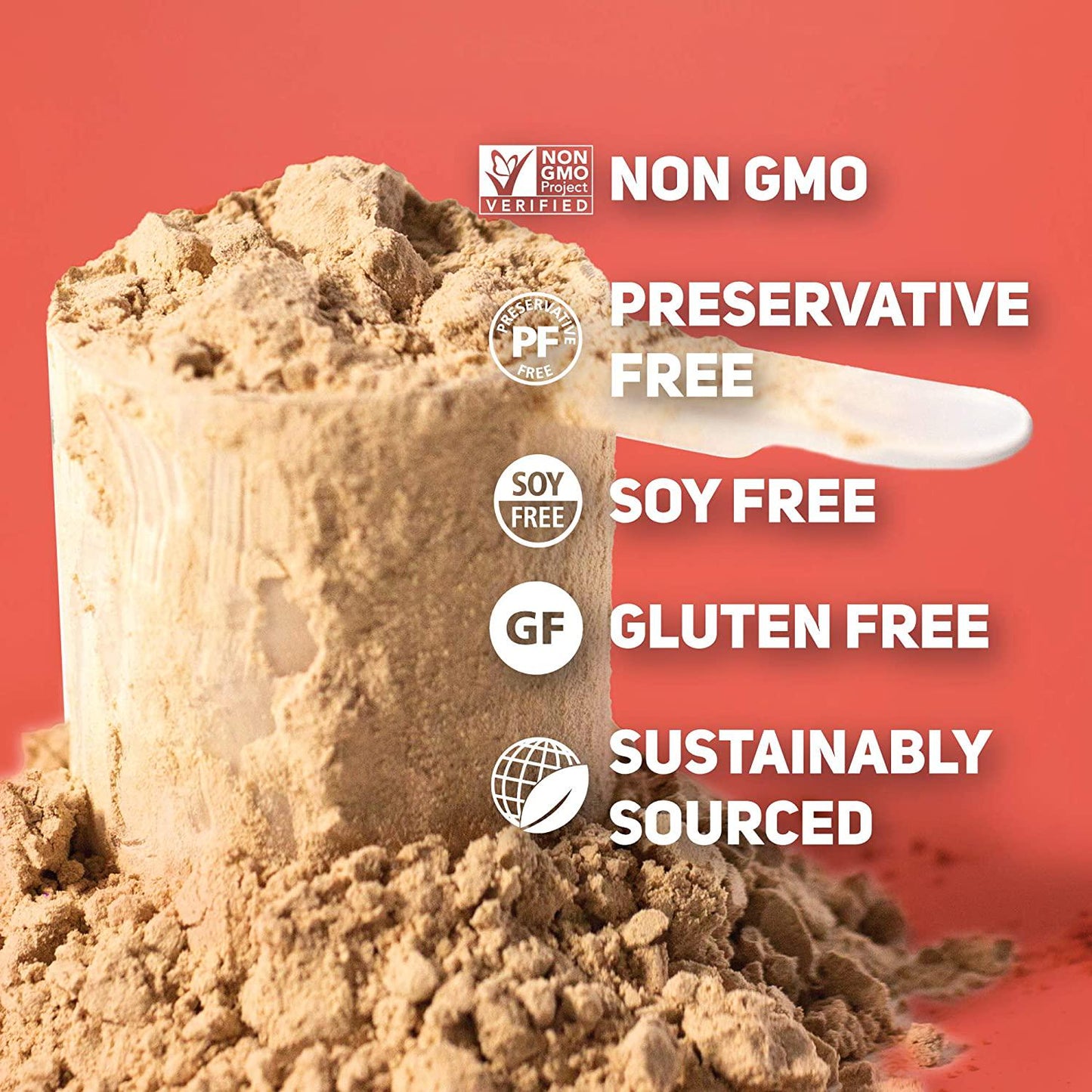 TB12 Plant Based Protein Powder, Sustainably Sourced Pea Protein, Chocolate Flavor - Vegan, 1g Net Carb, Non-GMO, Dairy-Free, Sugar-Free (18 Servings / 1.33lbs)