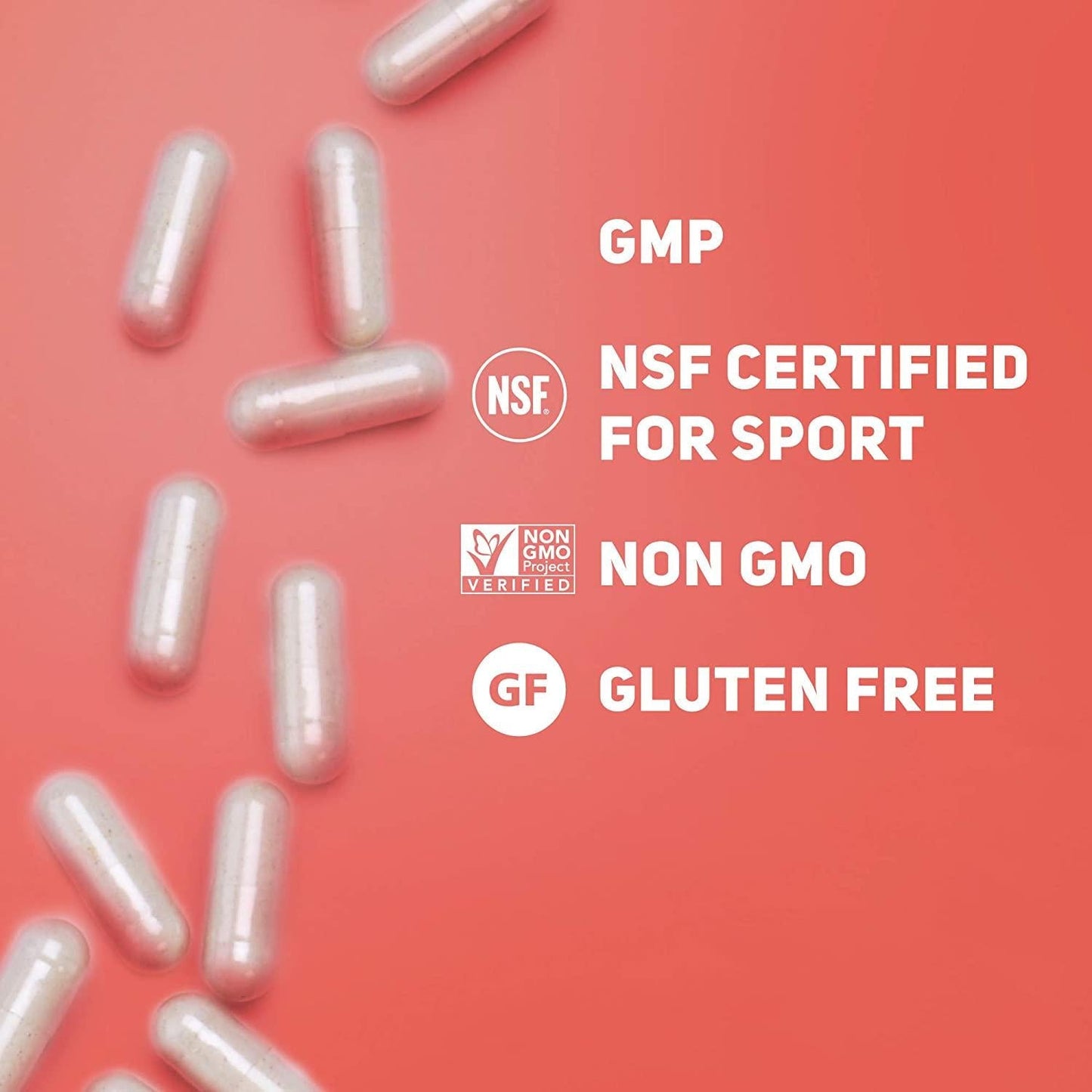 TB12 Probiotic 60 Count, 60 CT