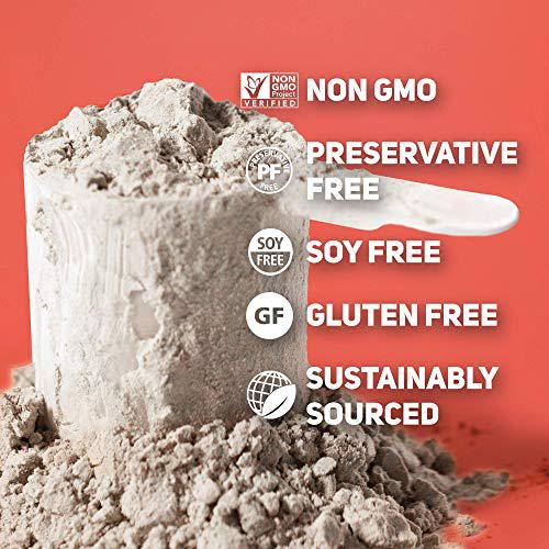 TB12 Protein Bundle | Pea Protein, Chocolate and Vanilla Plant Based Protein - Vegan, 1g Net Carb, Non-GMO, Dairy-Free, Sugar-Free (18 Servings / 1.33lbs)