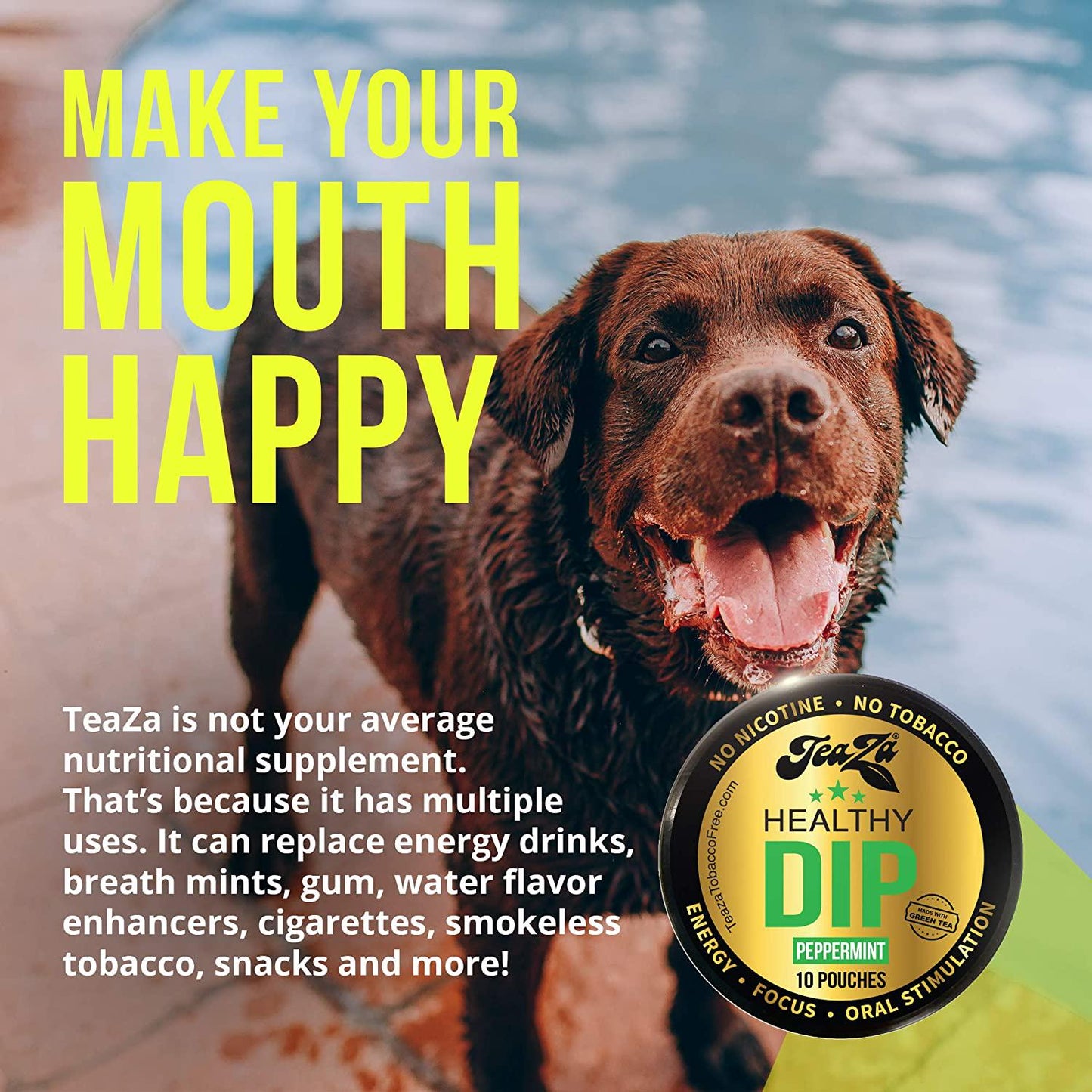 Teaza Herbal Energy Pouch Everyday Kick Bundle - 4 Pucks 2 Peppermint 2 Spicy Cinnamon Tobacco Replacement