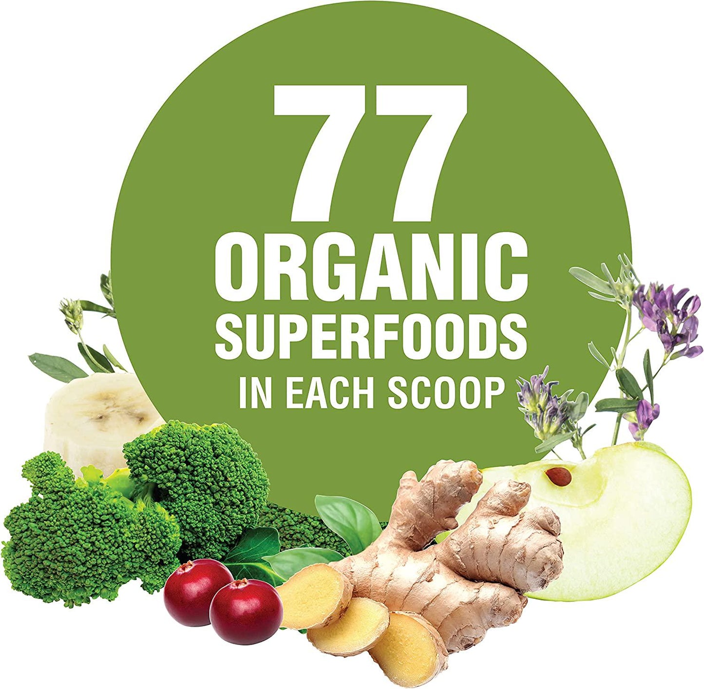 Terra Kai Organics JUCE Greens Superfood Drink Mix - Harvest Apple Flavor - 40 Servings - Fruits and Vegetables for Immune Boost, Detox and Cleanse, Improve Gut Health (17.44 Ounce, Pack of 2)