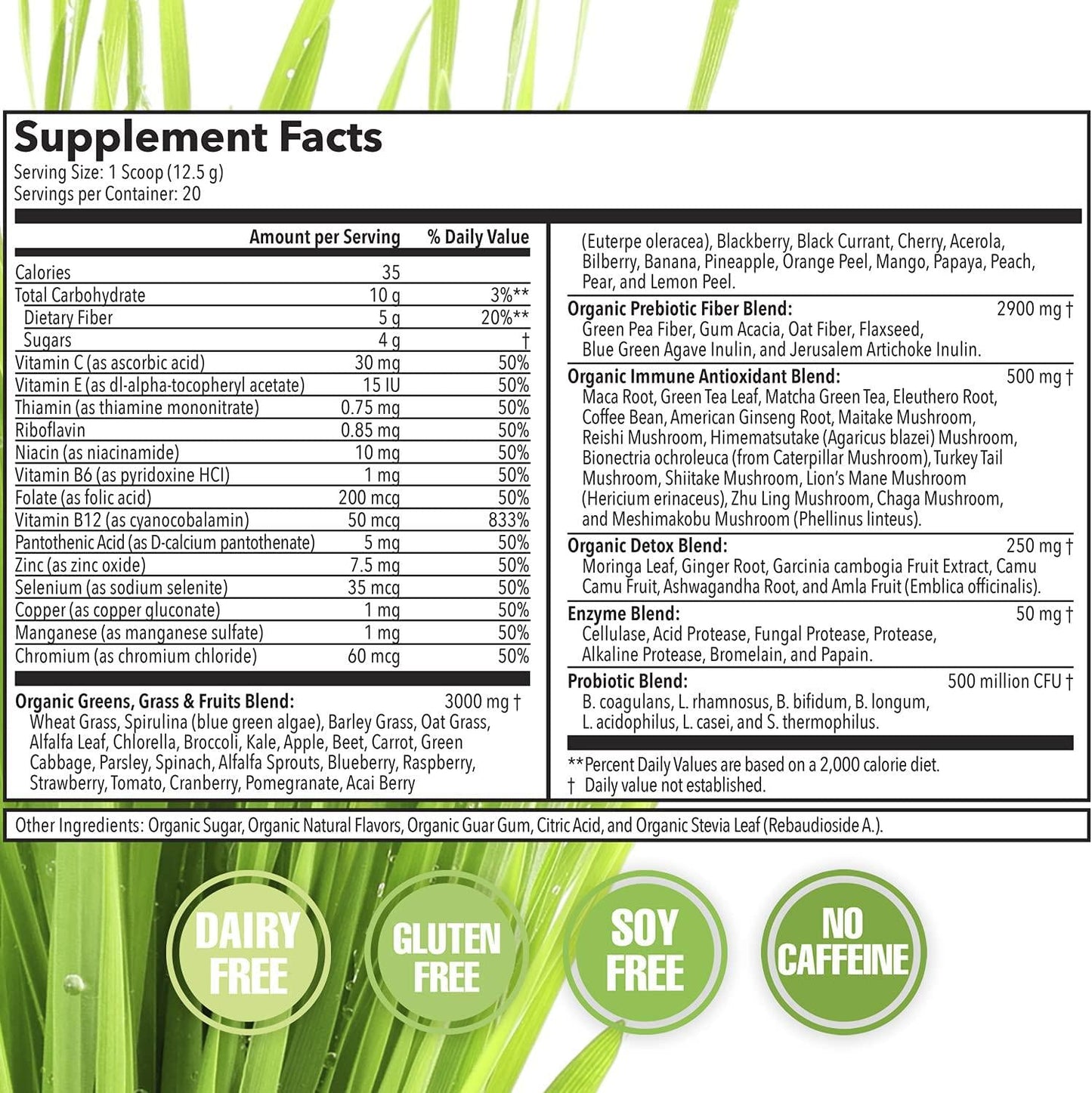Terra Kai Organics JUCE Greens Superfood Drink Mix - Harvest Apple Flavor - 40 Servings - Fruits and Vegetables for Immune Boost, Detox and Cleanse, Improve Gut Health (17.44 Ounce, Pack of 2)