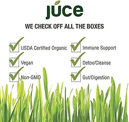Terra Kai Organics JUCE Greens Superfood Drink Mix - Harvest Apple Flavor - 40 Servings - Fruits and Vegetables for Immune Boost, Detox and Cleanse, Improve Gut Health (17.44 Ounce, Pack of 2)