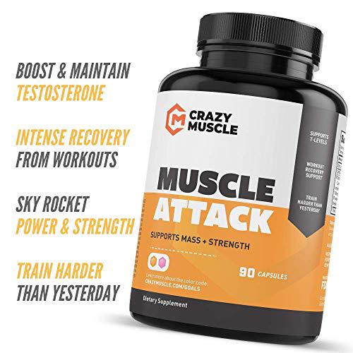 The Basics: Muscle Attack is a Must-Have with Creatine