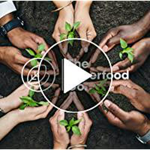 The Superfood Co. Organic Super Protein Blend, Vanilla - Lucuma Flavor , Plant Based Protein and Superfoods | 22 Grams Protein, Vegan, Non Dairy, Non-GMO, Gluten Free (Vanilla - Lucuma, 1 x 500 gr)