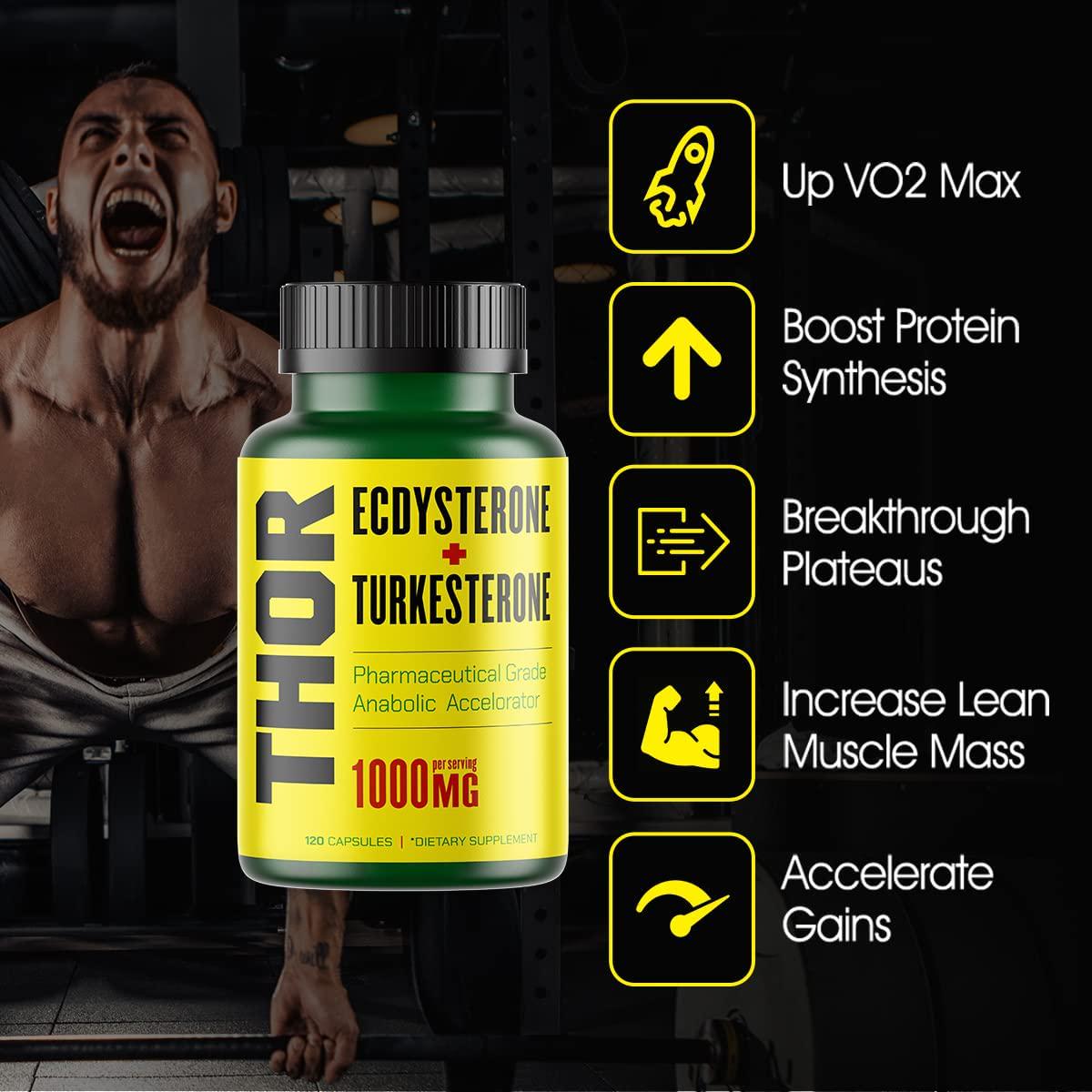 Thor - Turkesterone 95% + Ecdysterone Supplement | 1000MG Synthesized w/ Cyclodextrin for Max Absorbtion + Huge Gains (Turkestrone, Edcystrone, Ajuga Turkestanica Extract, Turkestone, Beta, Anabolic)
