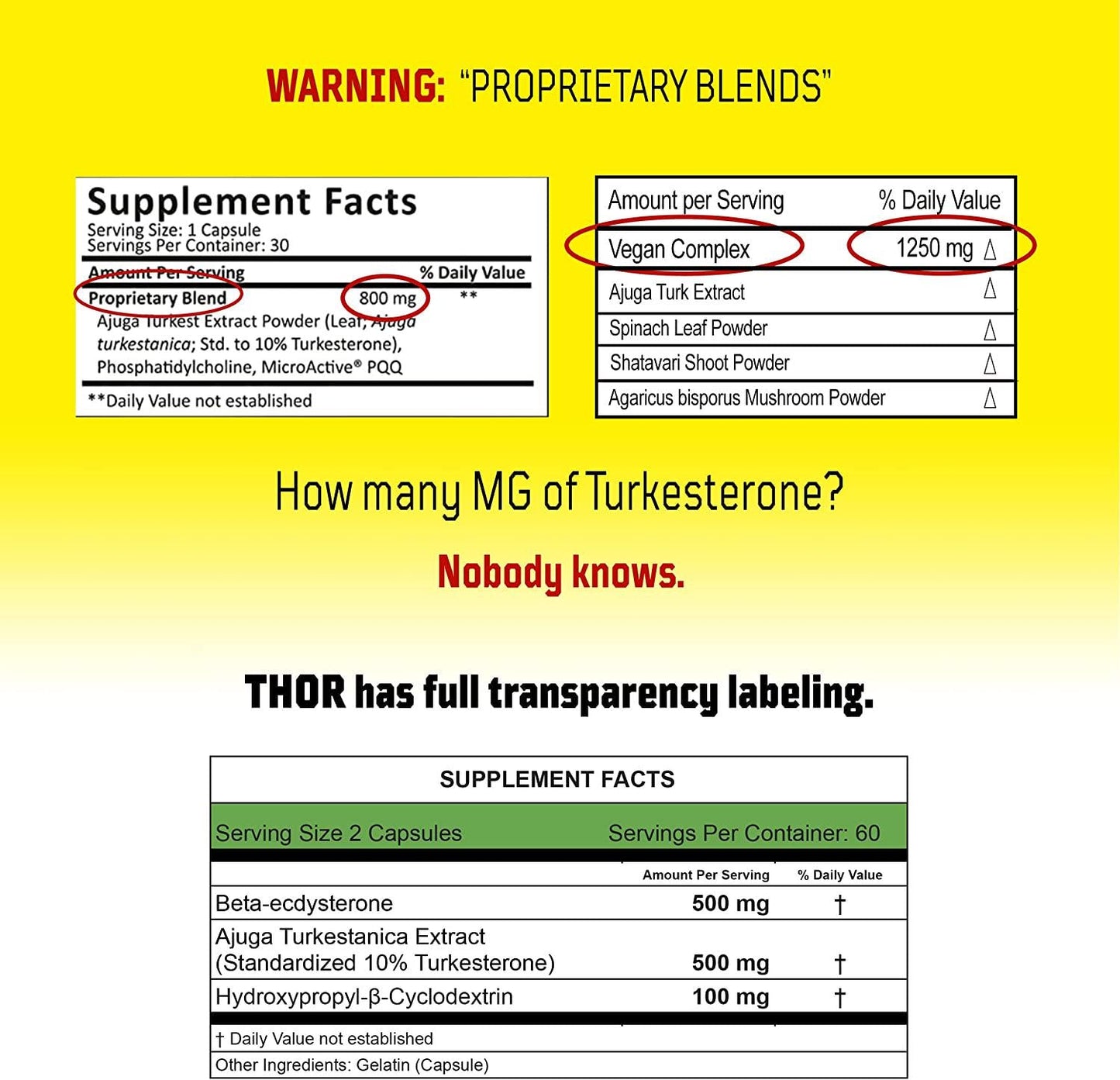Thor - Turkesterone 95% + Ecdysterone Supplement | 1000MG Synthesized w/ Cyclodextrin for Max Absorbtion + Huge Gains (Turkestrone, Edcystrone, Ajuga Turkestanica Extract, Turkestone, Beta, Anabolic)