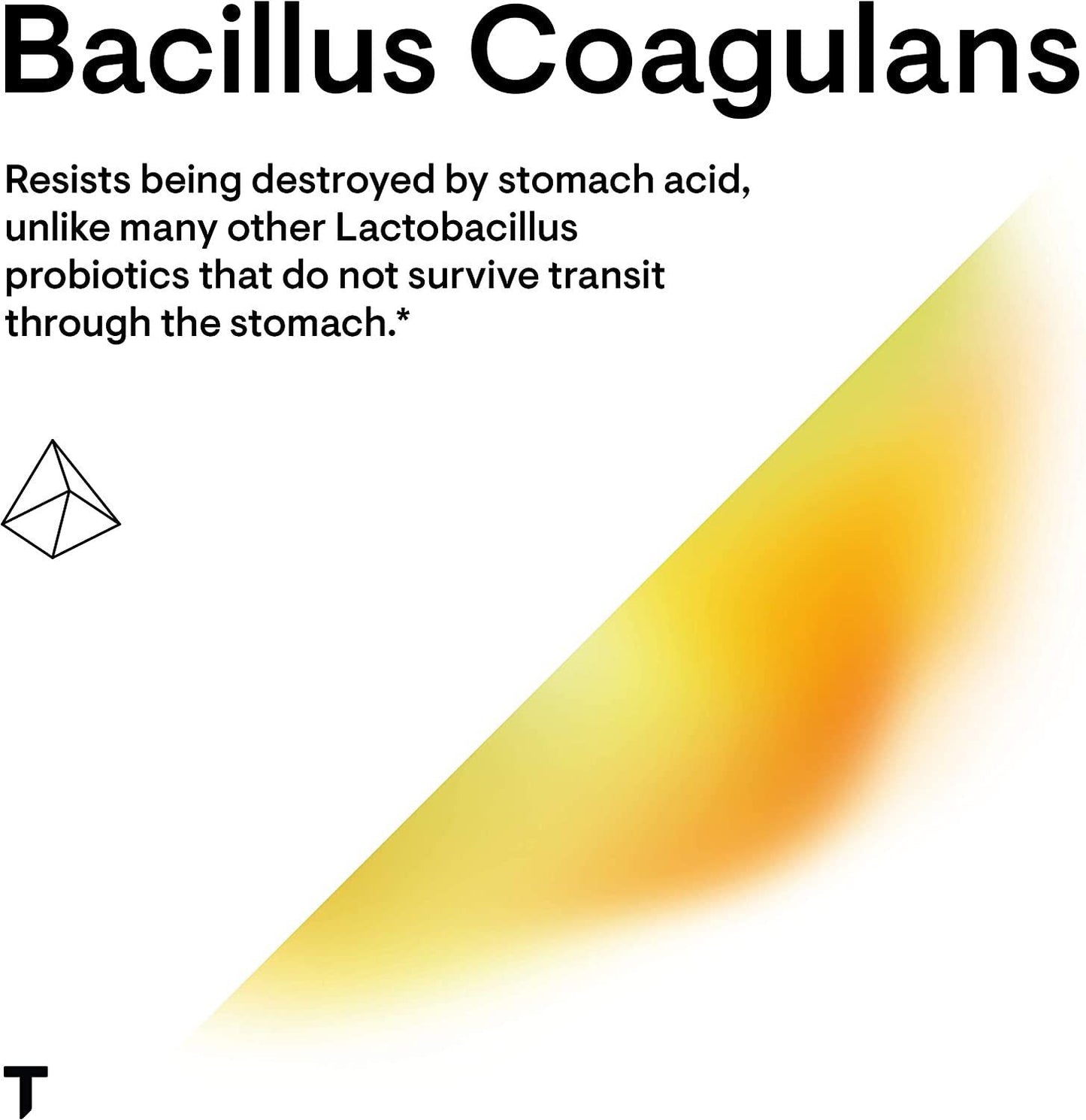 Thorne Bacillus Coagulans - Daily Probiotic Supplement to Support Gut Health and Bowel Regularity - Gluten-Free, Soy-Free, Dairy-Free - 60 Capsules