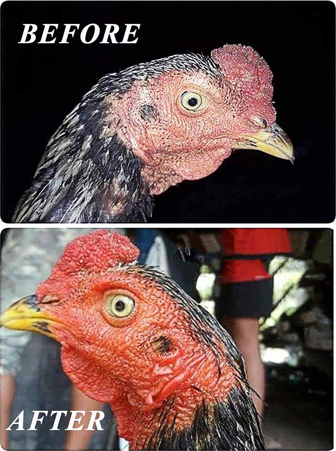 Thunder MAXX and Faster X3 Fast Result New Formula Rooster Booster Vitamins Health Supplement Capsules Chicken Support Energy Power and Big Muscle Gain Feed Cock Fighting Gamecocks, Poultry 90 Capsule